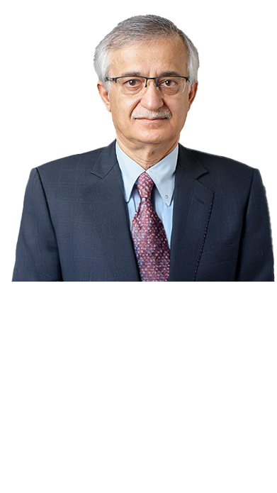 Mr. Mohamed Bucheeri